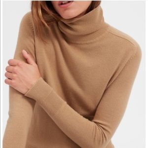 Everlane Cashmere Turtleneck